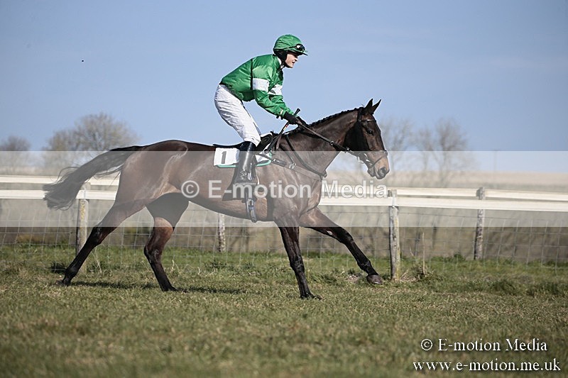 PtP 240218 203 - Vine & Craven Hunt Point-to-Point Barbury racecourse 24/02/18