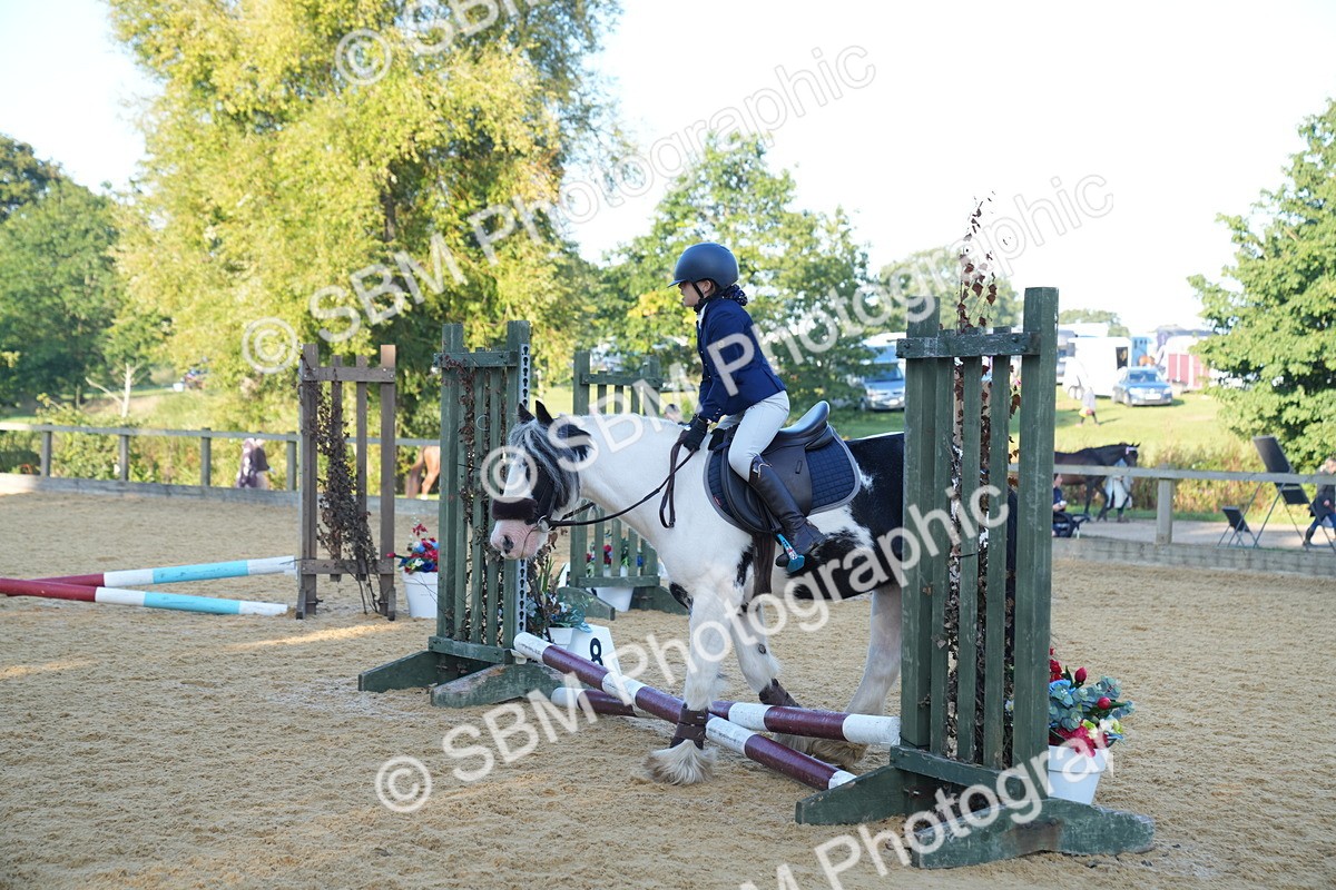 SBM_58954 - J63 - Minis Clear Round 30cm 40cm