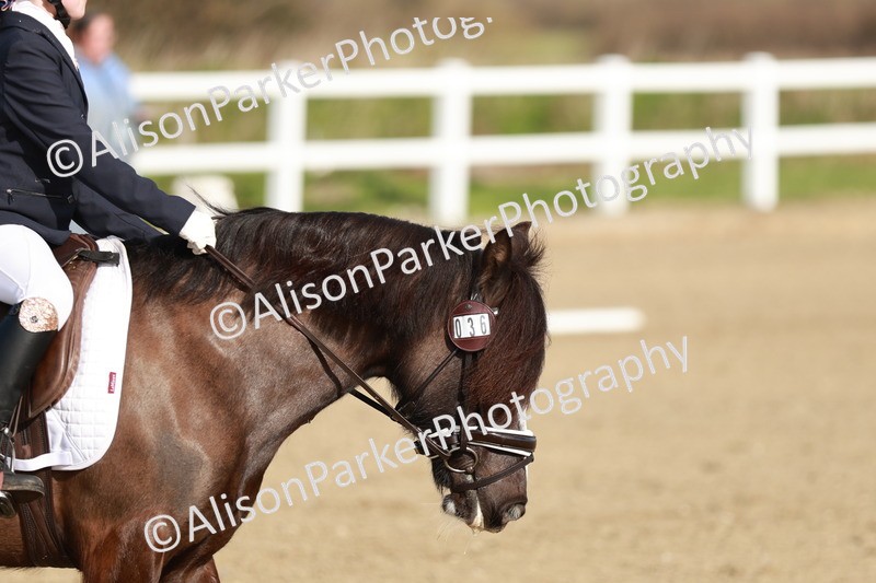 20260314-0113 - CT1 - Intro 1