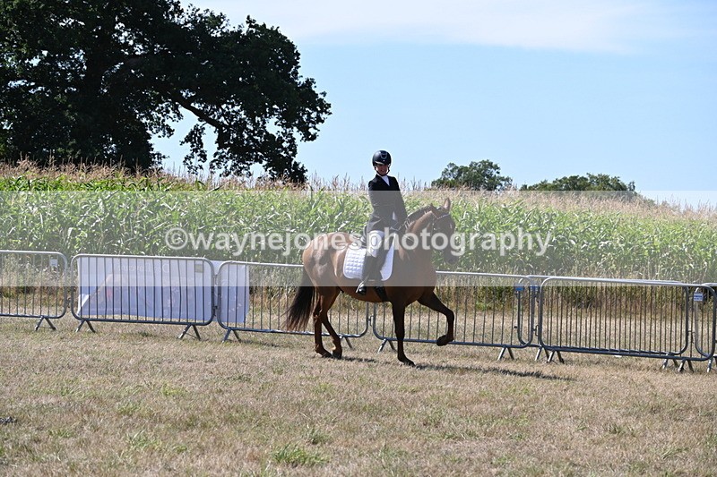 WJ6_8886 - Class 38 Ridden Riding Horse/Pony