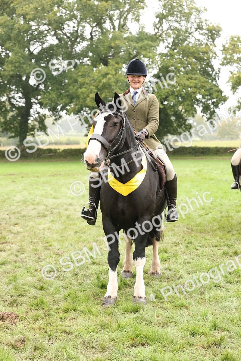 SBM_69860 - S69 - Show Cob Ridden