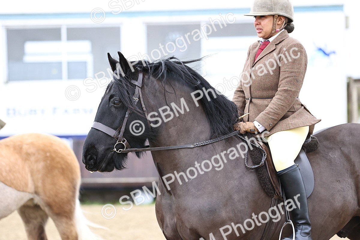 SBM_007015 - Class 29 - 30 - M&M Pure Novice Small-Large Breeds