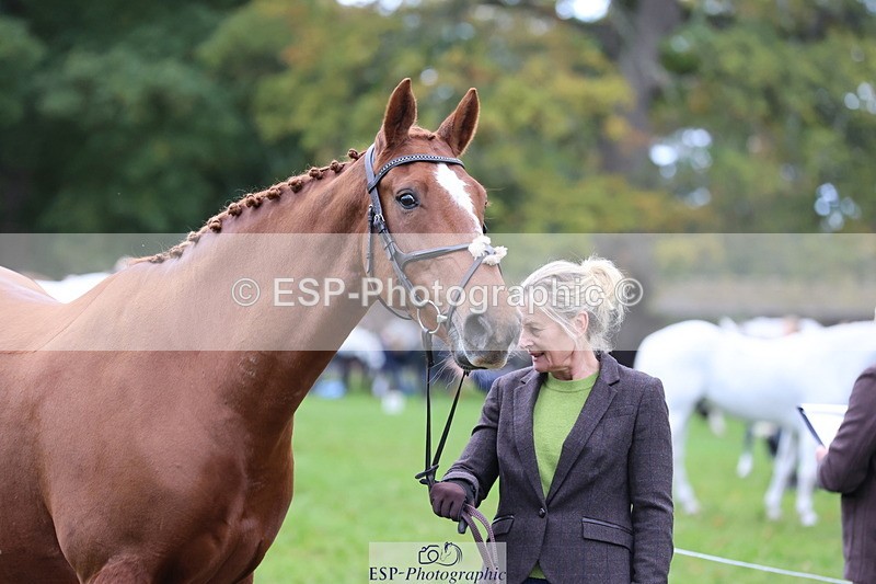 251026A-111350-25321 - G-579-Amy.Newton