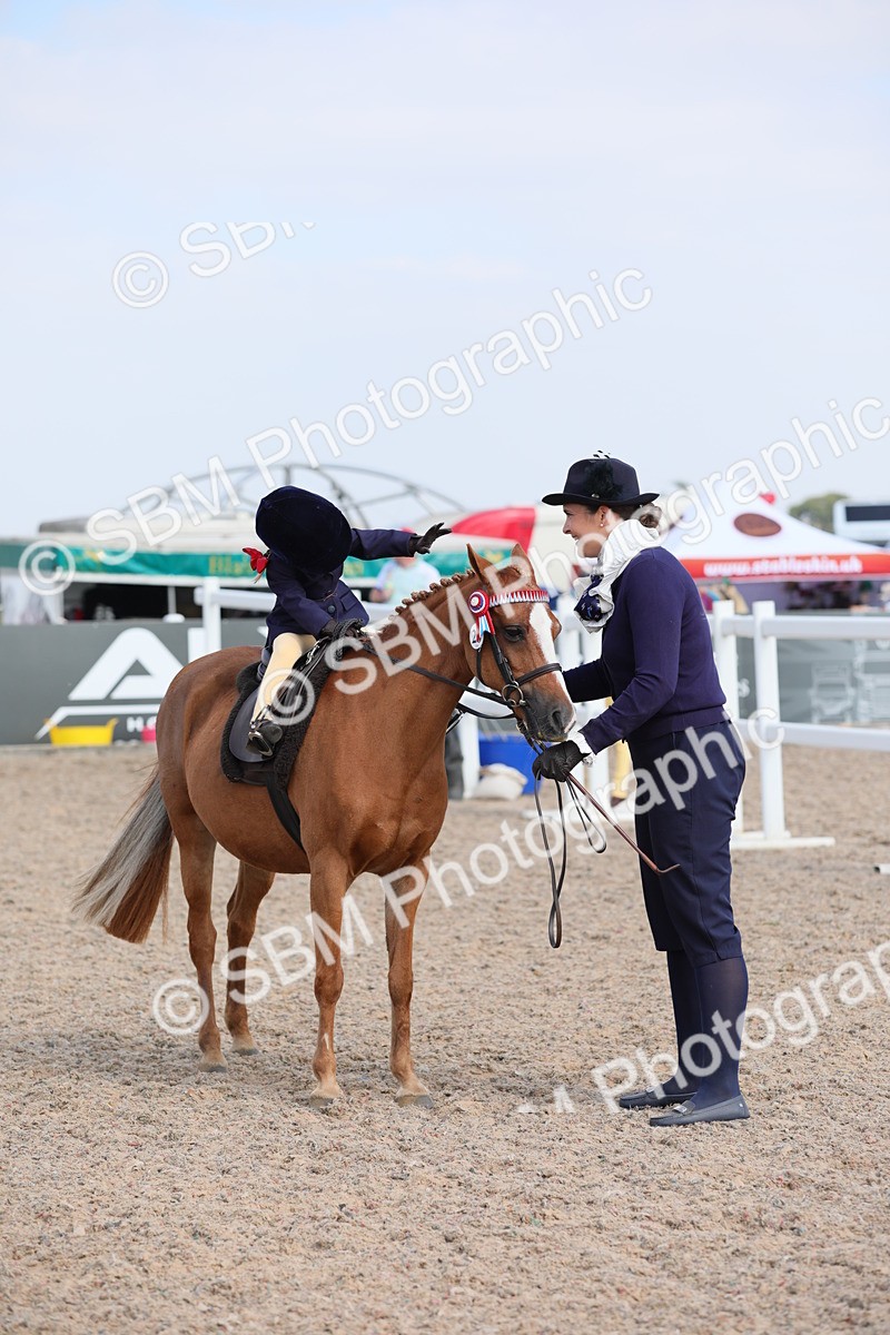 SBM_14011 - Class 309 Lead Rein Pony