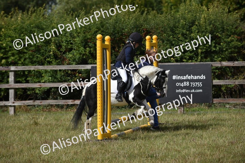 20250831-1816 - Class 8 - Hoof and Foot