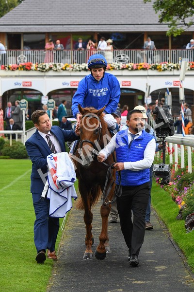 yr21082021r3-30 - Race 3 3.00pm Sky Bet City of York Stakes