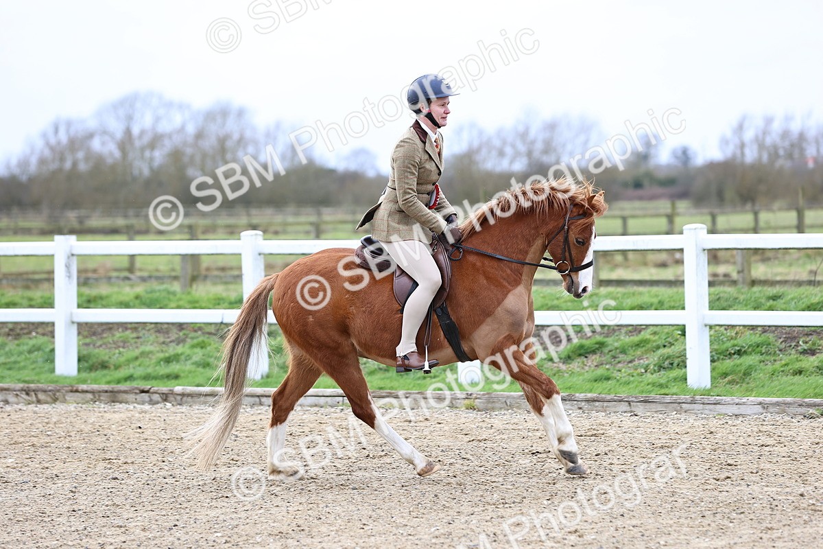 SBM_006868 - Class 29 - 30 - M&M Pure Novice Small-Large Breeds