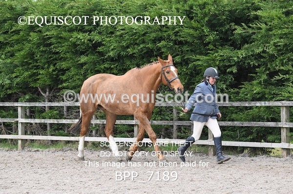 BPP_7189 - RING 1  (RIDDEN HORSES / IN HAND / VETERAN ETC)