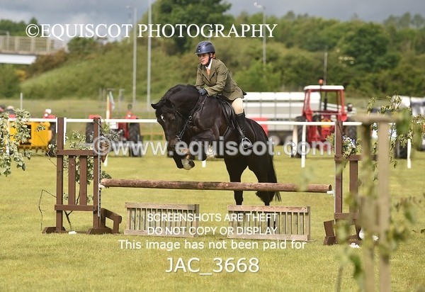 JAC_3668 - 75CM WORKING HUNTER