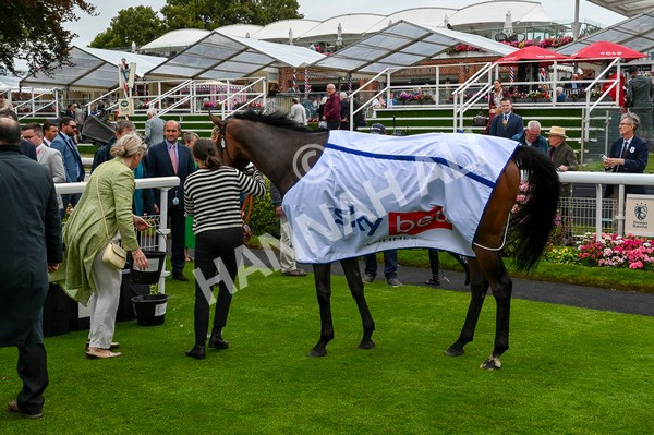 210824-Race 5-Extensio-5762 - Race 5 4.10pm Sky Bet Stayers Handicap