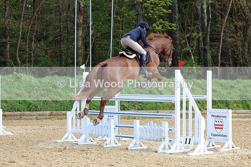 3E7A2123 - Class 8: Senior Foxhunter/1.20 open