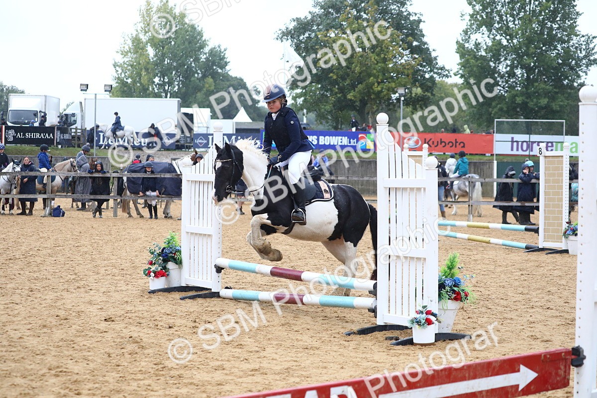 SBM_71542 - J4 - Mini Tour Junior Pony 45cm Championship