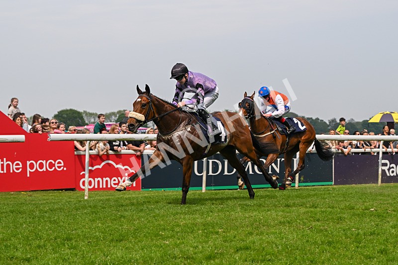 060524-Race 2-Brummell-6008 - Race 2