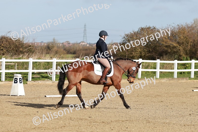 20260314-0038 - CT1 - Intro 1