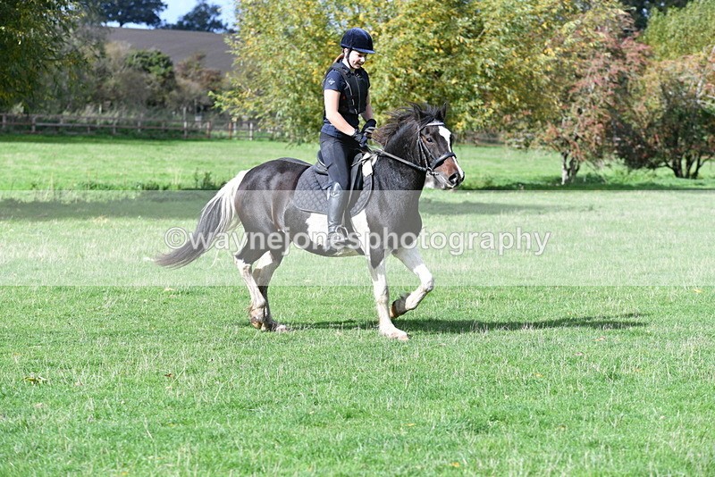 WJ5_8424 - Time 12:02 to 12:32