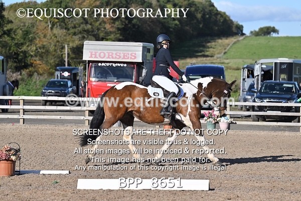 BPP_8651 - SHORT ARENA INTRO 3