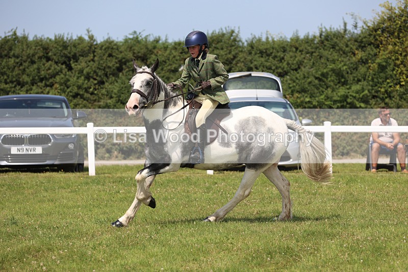 JPP_3272 - Class 22: Working Hunter 70cm