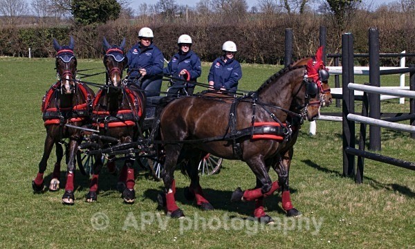 _DSC0286 - Ashfields Carriage & Polo Club