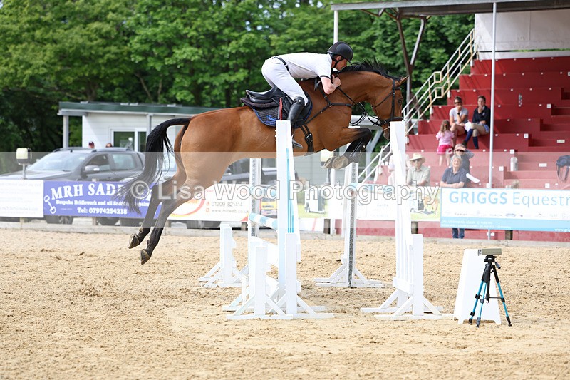 3E7A7831 - Class 8: Senior Foxhunter/1.20 open