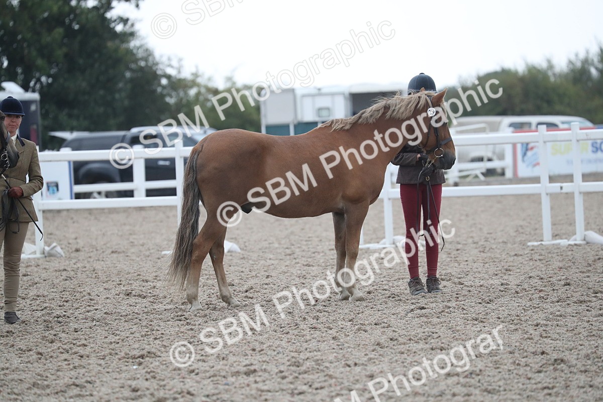 SBM_18312
