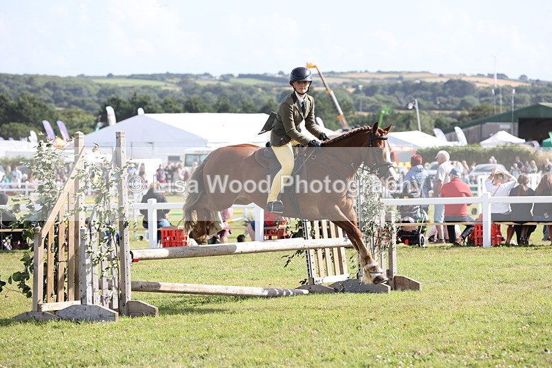 JPP_2757 - Class 20: Working Hunter 70cm