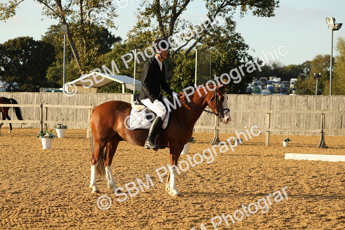 SBM_55253 - D25 - Junior Championships - Novice 24-Elementary 42