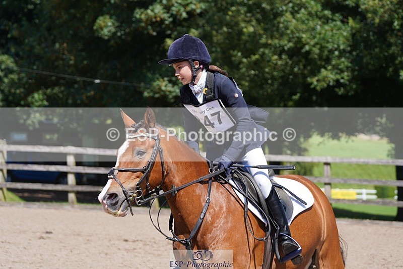 240728-115340-03327 - PC80, Round 1