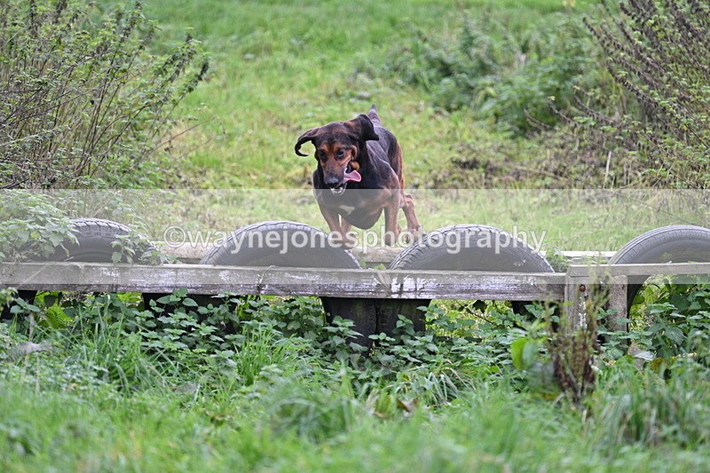 WJ7_8966 - Camera 1 only on this line