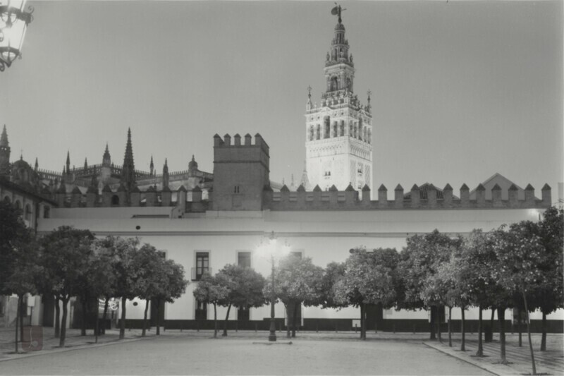 Orange trees - Letter from Home