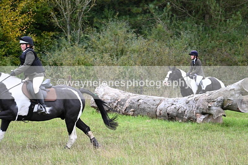 WJ7_3782 - Camera 1 Line 1