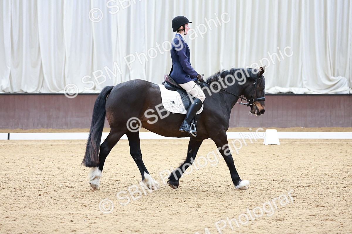 SBM_000397 - Class 3 - Prelim 1