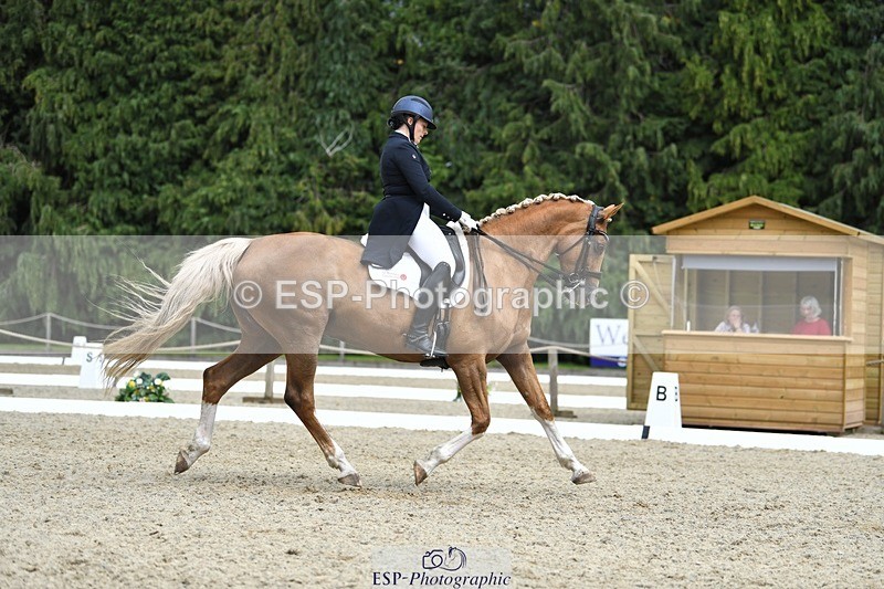 230812-144040-04769 - Cls 7 FEI PSG Bronze