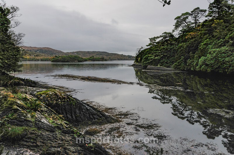 Bantry Bay from Glengarriff 2 - Irelands landscapes