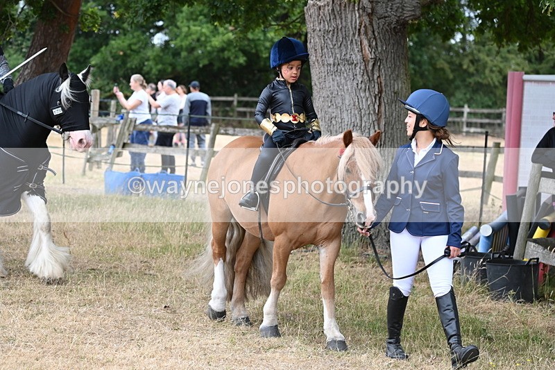WJ6_8895 - Class 11 Fancy Dress
