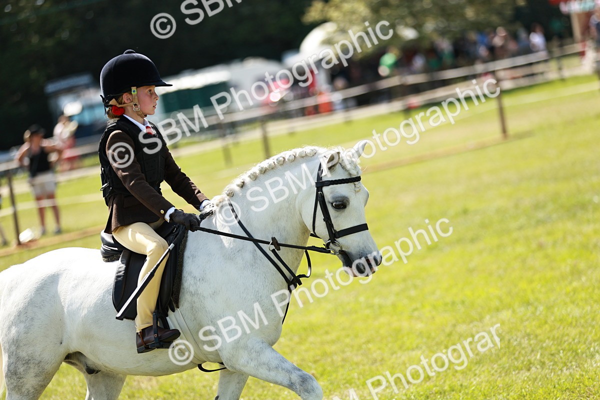 SBM_13549 - Class 108-109 - BSPS LIHS Open Gradle & Nursery Stakes