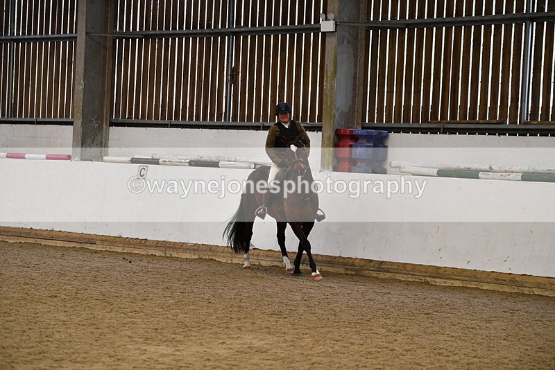 WJ5_7713 - Class 13 Ridden Part Breed