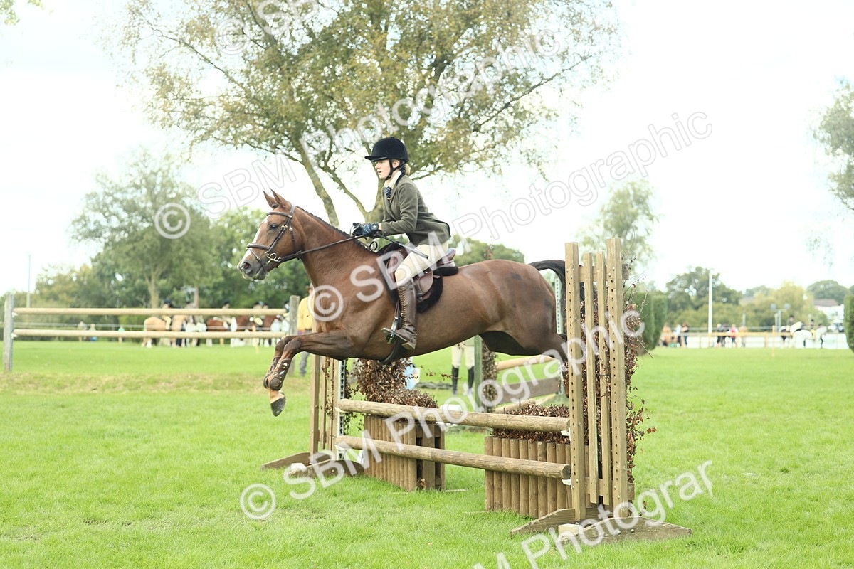 SBM_47964 - S32 - Novice & Newcomers Working Hunter