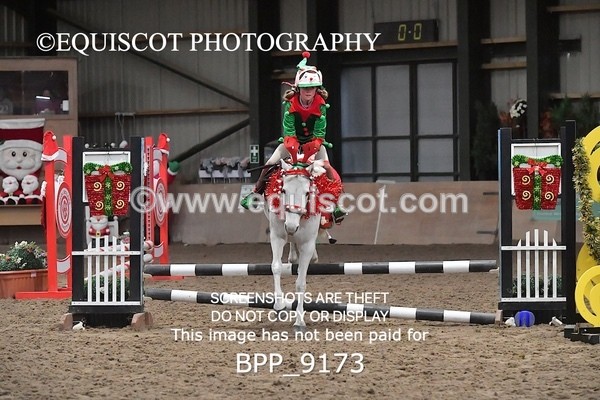 BPP_9173 - CLASS 4 50CM Novice Show Jumping