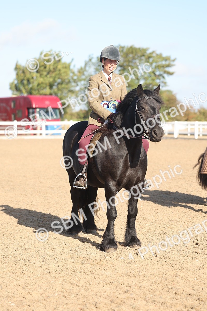 SBM_22245 - Class 802 - Ridden Groom Helpers Class
