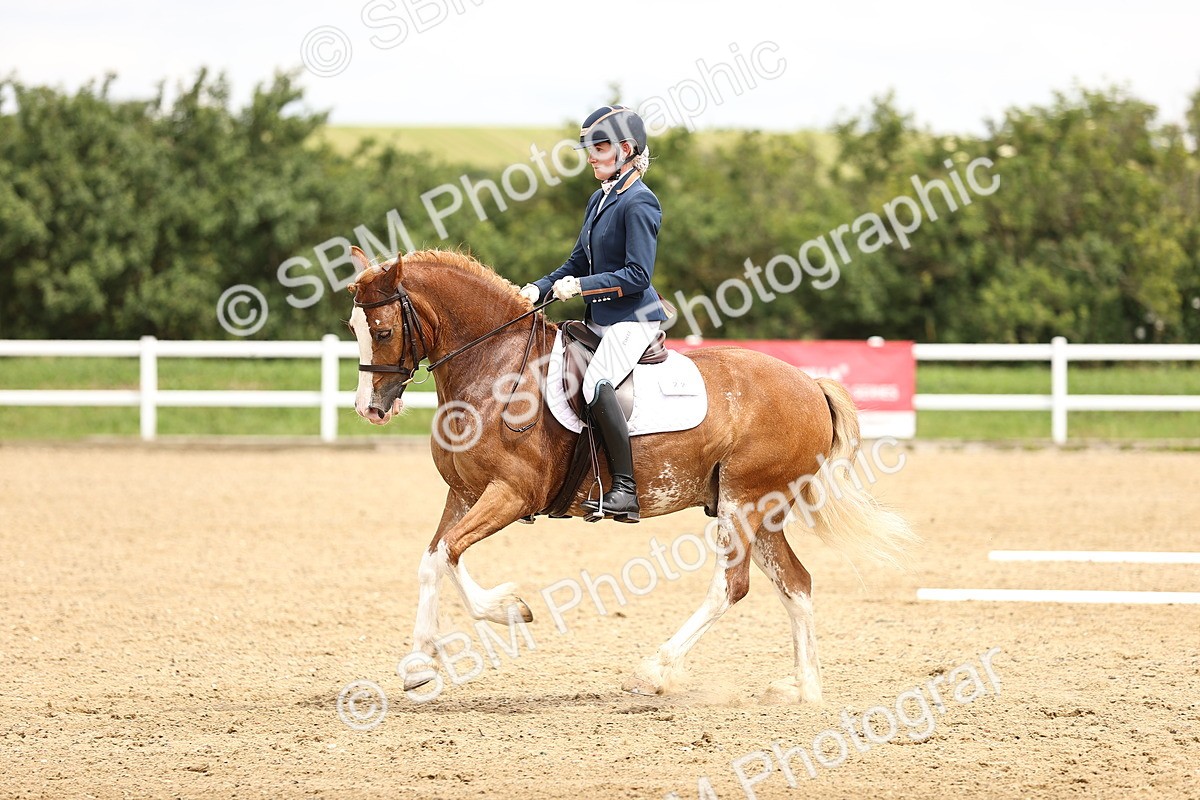 SBM_000923 - Class 4 - Novice 5