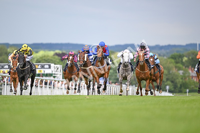 290524-Race 6-Spring Chorus-6824 - Race 6