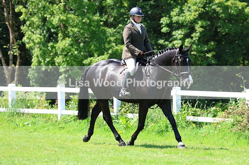 3E7A7149 - Class 30: Novice Working Hunter