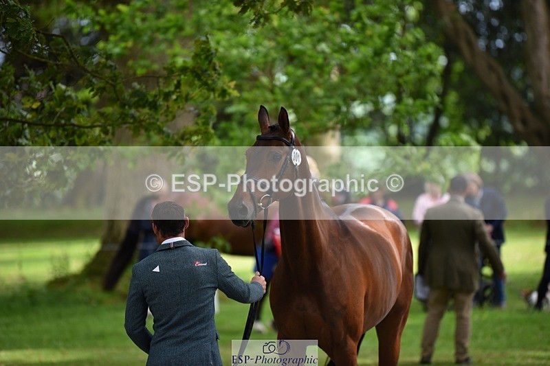 240522-145954-00027 - 301-CAMOUFLAGE-Alexander_Bragg