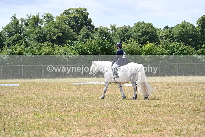 WJ6_3431 - Time 11:34 to 11:43