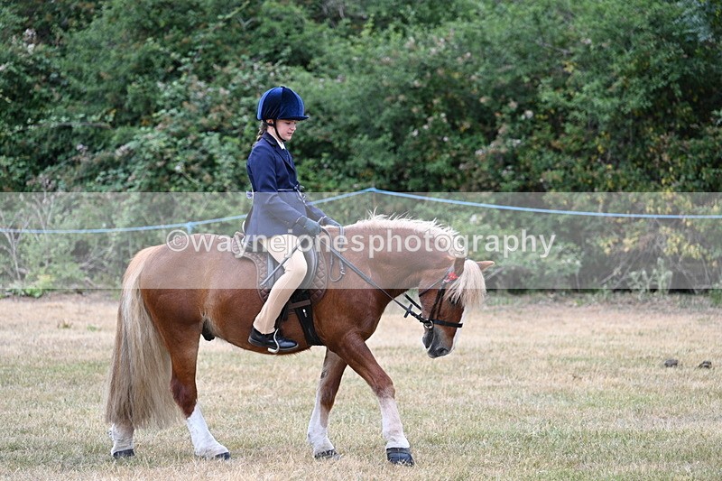 WJ7_0412 - Class 2 Best rider