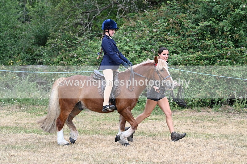 WJ7_0249 - Class 2 Best rider