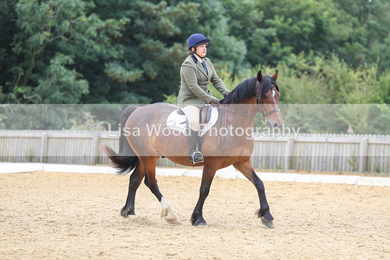 3E7A5209 - Class 2: Intro 4 2024 section B