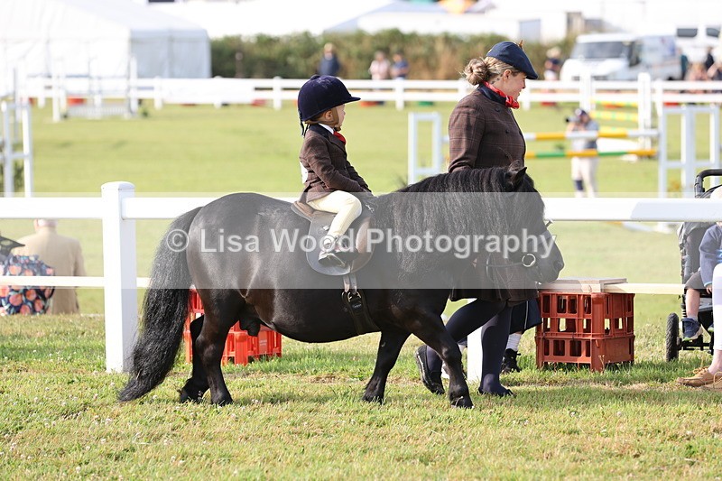 JPP_0168 - Class 14: Cornish Combination Leading Rein