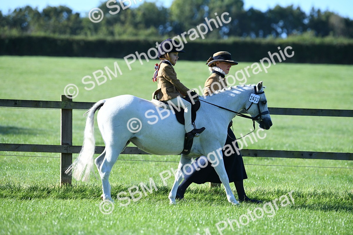 SBM_35294 - S17 - Condition & Turnout - Lead Rein