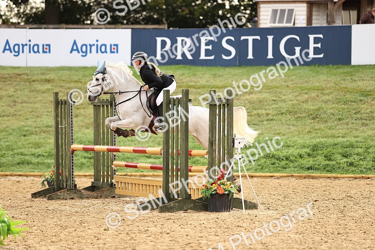 SBM_58173 - J41 - Grand Tour Horse & Pony 95cm